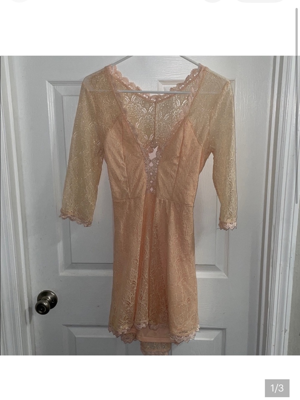 Tobi Sheer Lace Chemise in Blush